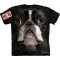 Boston Terrier Face - T-shirt chien - The Mountain