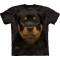 Rottweiler chiot - T-shirt enfant chien - The Mountain
