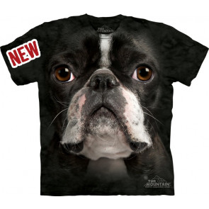 tee shirt chien boston terrier