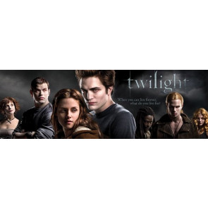 Twilight film - Poster de porte