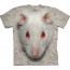 t-shirt the mountain tete de rat blanc